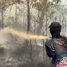 Tersangka Karhutla Terus Bertambah