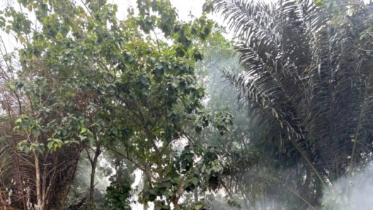 TPS Sumber Sumampir Terbakar
