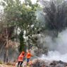 TPS Sumber Sumampir Terbakar