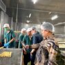 11 Mahasiswa Magang Kerja di Perusahaan Taiwan