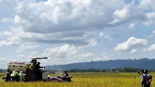 2.100 Hektare Sawah Terdampak Kekeringan