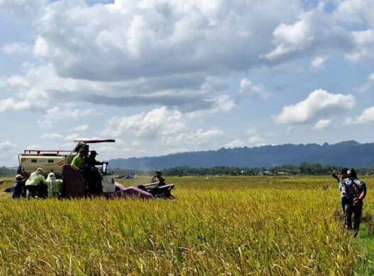 2.100 Hektare Sawah Terdampak Kekeringan