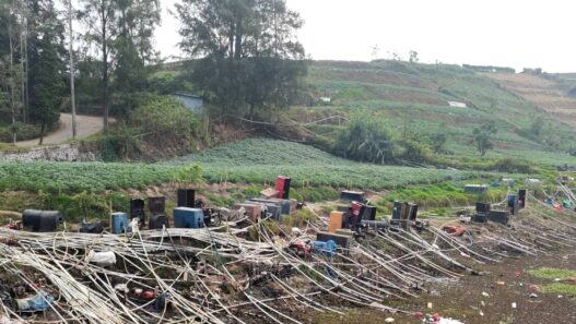 400 Petani Dieng Andalkan Telaga Merdada