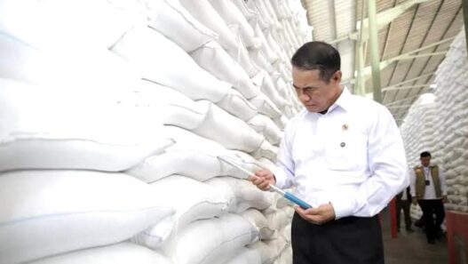 93 Persen Beras Fortifikasi Tak Memenuhi Ketentuan
