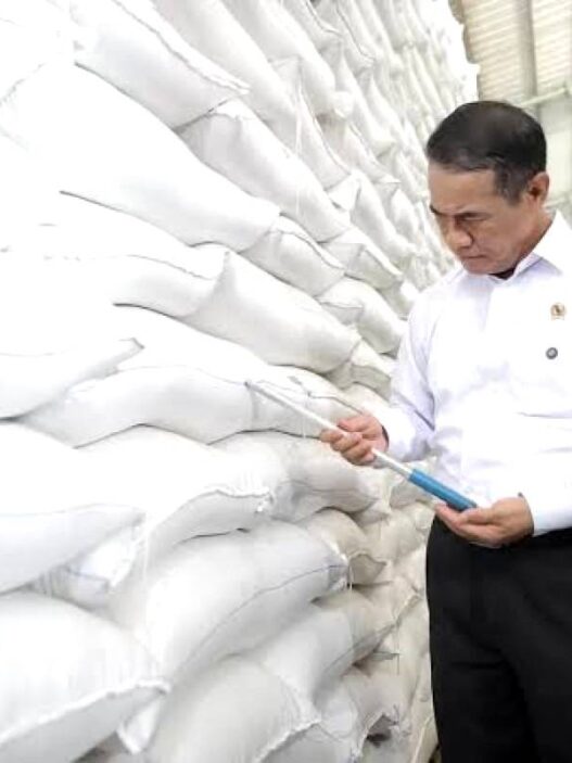 93 Persen Beras Fortifikasi Tak Memenuhi Ketentuan