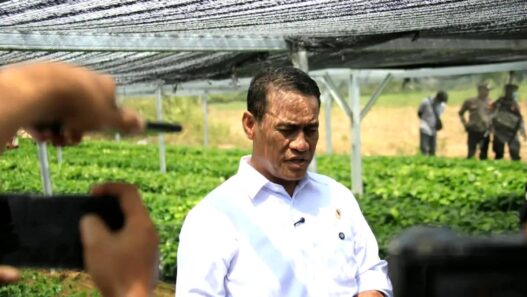 Amran Siap Bongkar Mafia Beras