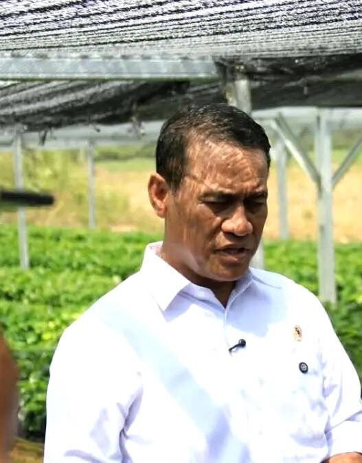 Amran Siap Bongkar Mafia Beras