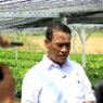 Amran Siap Bongkar Mafia Beras