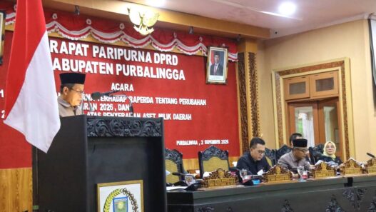 Banggar Wanti wanti Cadangan Anggaran