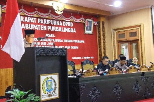 Banggar Wanti wanti Cadangan Anggaran