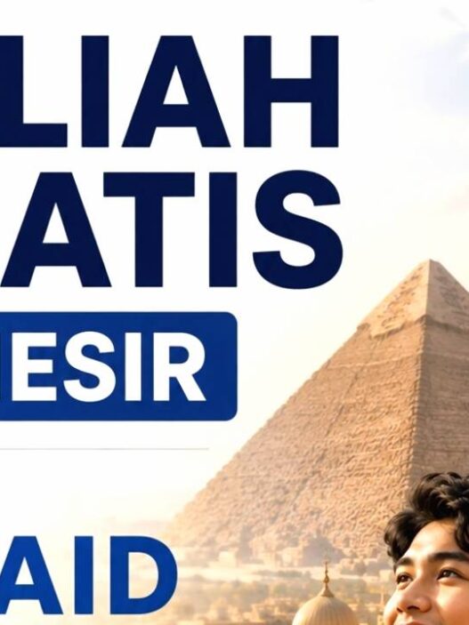 Beasiswa EGYAID