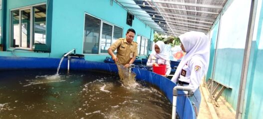 Bioflok Jadi Solusi Budi Daya Ikan