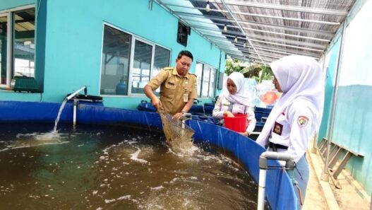 Bioflok Jadi Solusi Budi Daya Ikan