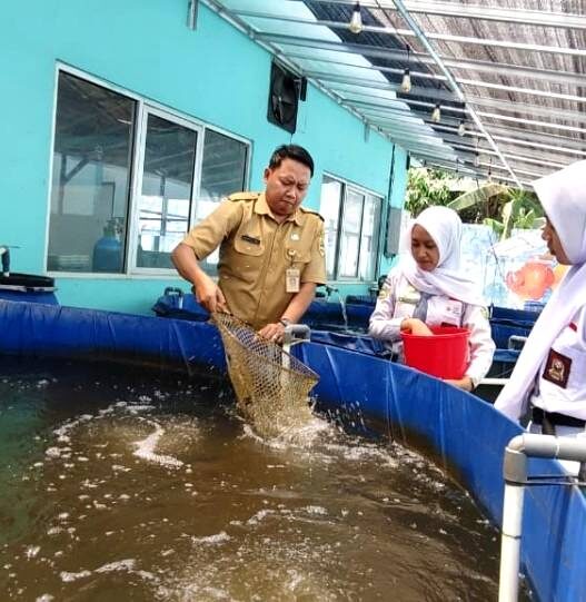 Bioflok Jadi Solusi Budi Daya Ikan