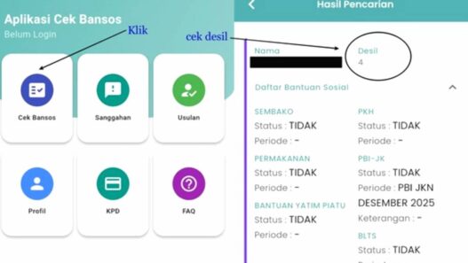 Cek Desil Bansos