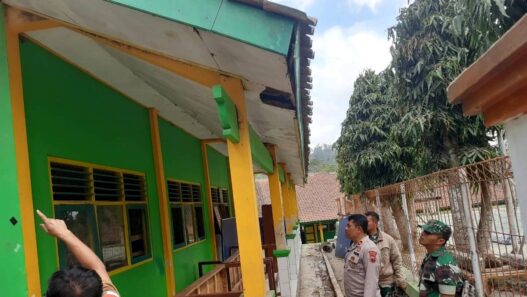 Dua Tahun "Ikut Sekolah", Kawanan Kelelawar Dievakuasi