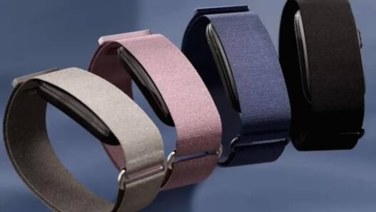 Garmin Cirqa