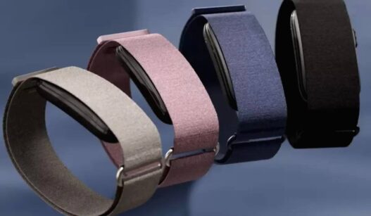 Garmin Cirqa