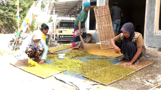 Harga Tembakau Naik, Petani Makin Optimistis