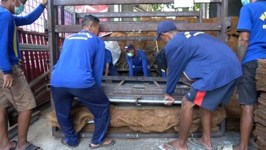 Jadi Modal Meski Sulit di Awal