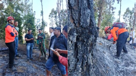 Karhutla Sindoro Padam dalam Satu Jam