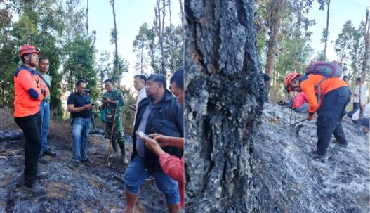 Karhutla Sindoro Padam dalam Satu Jam