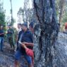 Karhutla Sindoro Padam dalam Satu Jam