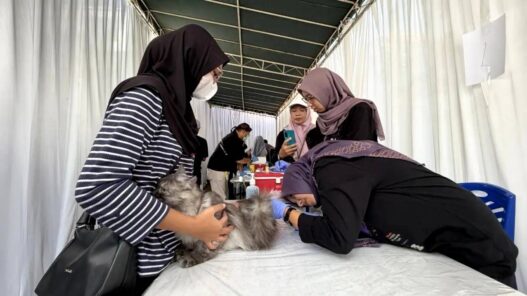 Kasus Gigitan Hewan Penular Rabies Naik