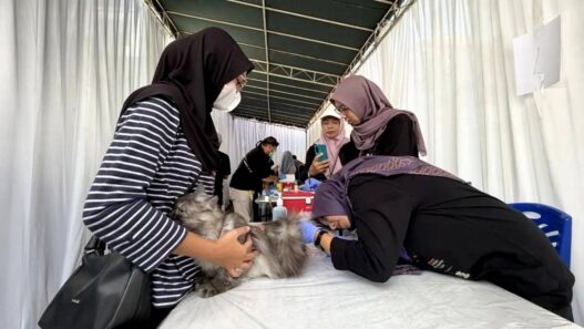 Kasus Gigitan Hewan Penular Rabies Naik