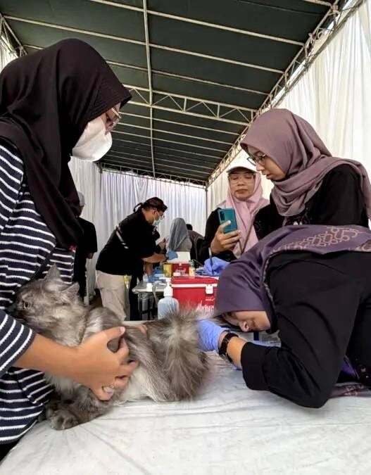 Kasus Gigitan Hewan Penular Rabies Naik