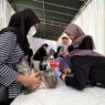 Kasus Gigitan Hewan Penular Rabies Naik