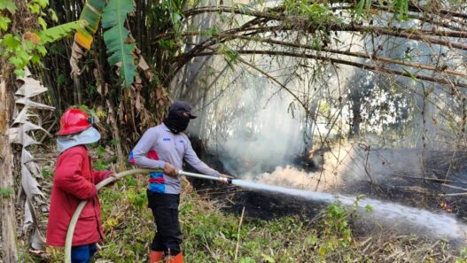 Kebakaran Lahan Capai 49 Kasus
