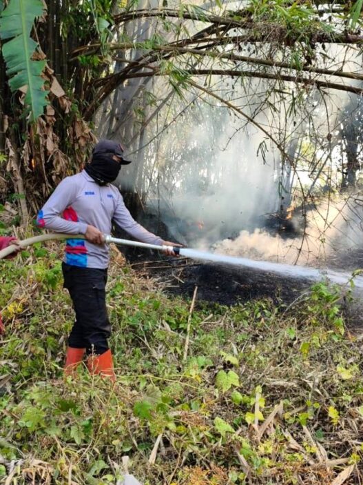 Kebakaran Lahan Capai 49 Kasus