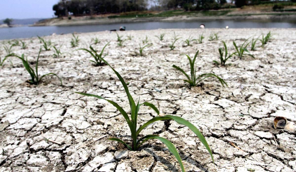 Kekeringan Akibat El Nino