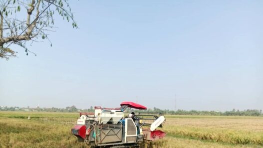 Kemarau, Stok Beras Aman