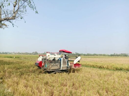 Kemarau, Stok Beras Aman