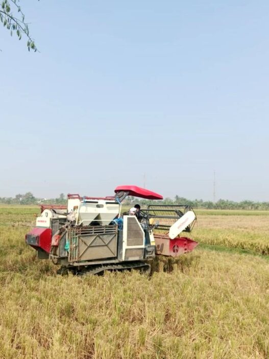 Kemarau, Stok Beras Aman