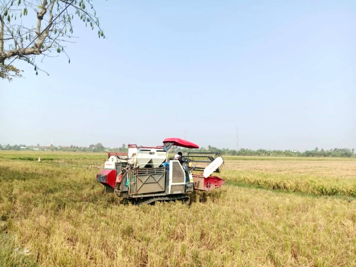 Kemarau, Stok Beras Aman