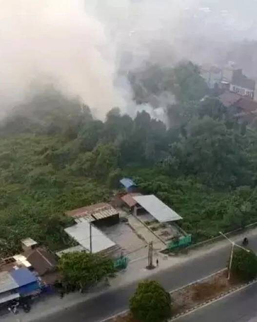 Kerugian Akibat Karhutla hingga Rp 123 T