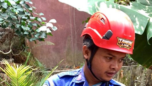 Kucing Jatuh ke Sumur Sedalam 6 Meter