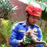 Kucing Jatuh ke Sumur Sedalam 6 Meter