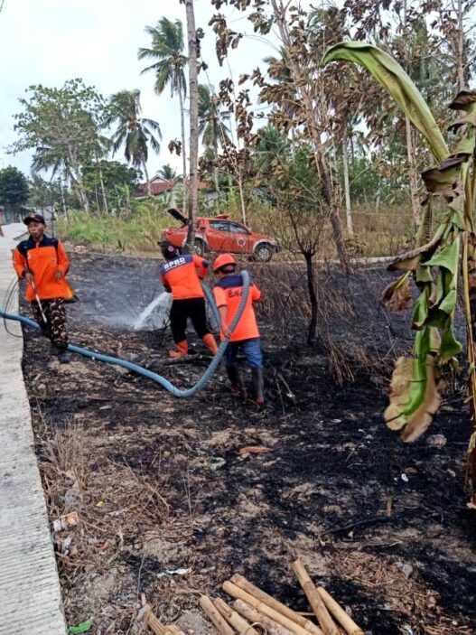 Lahan di Jeruklegi Terbakar