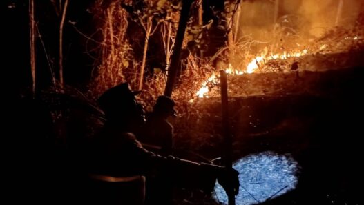 Lima Kebakaran Lahan dalam Dua Hari