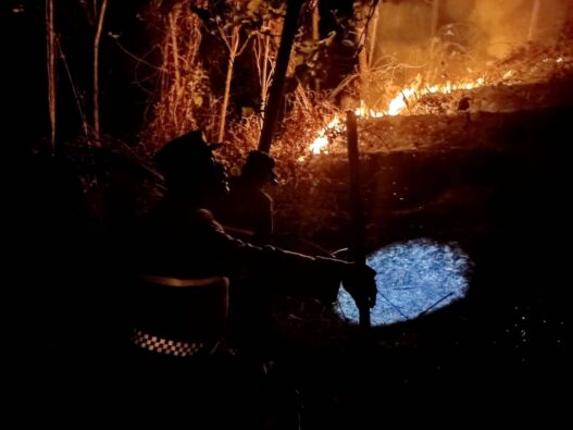 Lima Kebakaran Lahan dalam Dua Hari