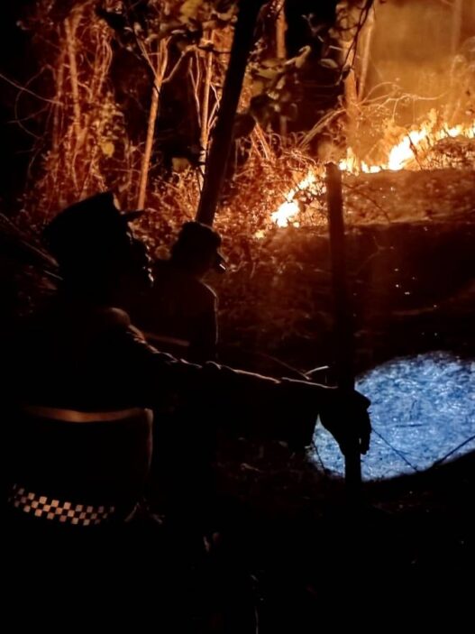 Lima Kebakaran Lahan dalam Dua Hari