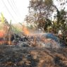 Pangkalan Kayu di Cipari Terbakar