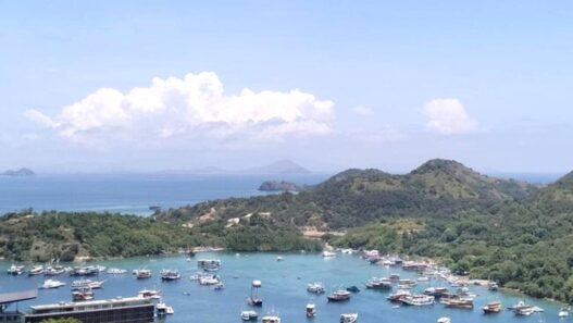 Pelayaran Wisata Pulau Komodo Kembali Ditutup