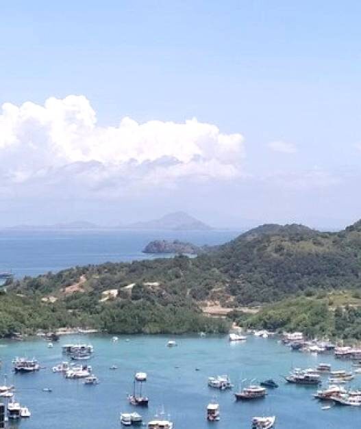 Pelayaran Wisata Pulau Komodo Kembali Ditutup