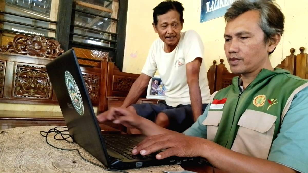 Petani Dapat Asuransi Padi Gratis