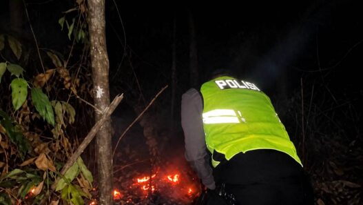 Polisi Selidiki Penyebab Kebakaran Lahan di Sadang